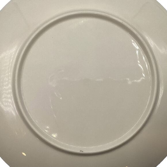 Vintage THOMAS EDISON Winter Home/Museum Collectible Souvenir Memorabilia Plate - Picture 6 of 7